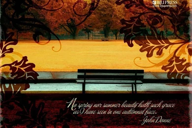 Encouraging Quotes With Fall Background. QuotesGram