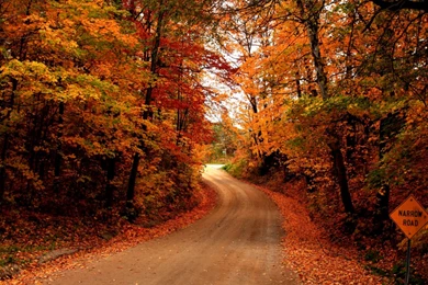 Autumn Country Road   Wallpaper.