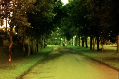 Nature Backgrounds 3388 Backgrounds Amazing Full Size Attachment ...