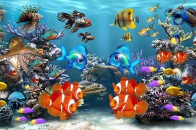 Tropical Fish Picture HD Wallpaper Desktop.jpg