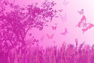 Butterfly hd wallpapers pink.jpg