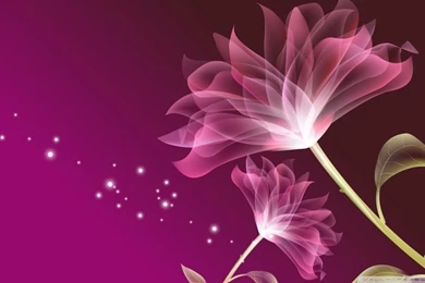 Glass Flower Pink HD Desktop Wallpapers : High Definition ...