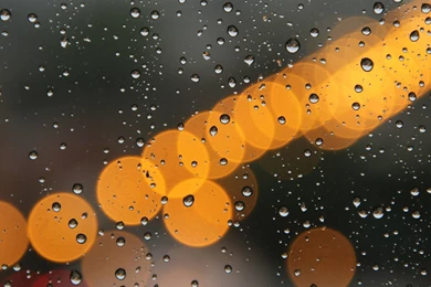 Most Popular iPad Wallpapers