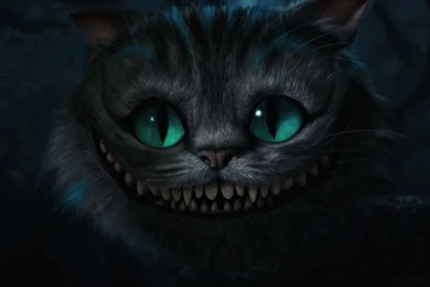 Alice In Wonderland Animals And Backgrounds iPad Wallpapers ...