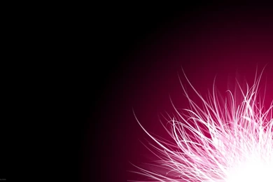 PINK WALLPAPER HD WF1008