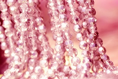 Pink Wallpapers_hd Wallpaper_download Free Wallpapers