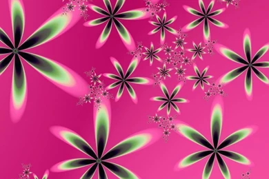 Neon Flowers On Pink – 800×600 High Definition Wallpapers ...
