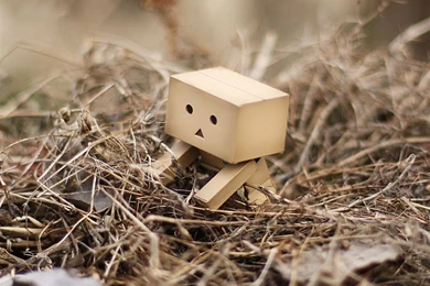 Danbo HD iPad Air Wallpapers Download