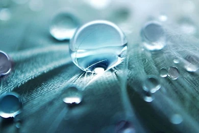 Most Popular iPhone 5s Wallpapers