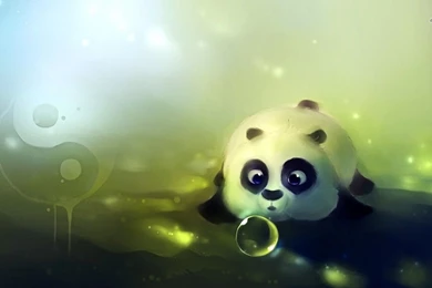 Cute Panda HD Wallpapers ZX34 Pretty Wallpapers HD