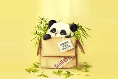 Sending Panda Bamboo HD Wallpapers