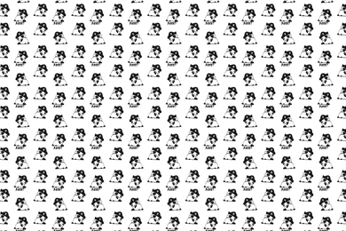 Pirate Panda Desktop Wallpapers