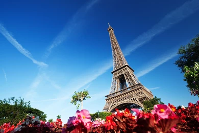 173 Eiffel Tower HD Wallpapers