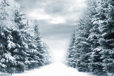 427 winter snow hd backgrounds.jpg
