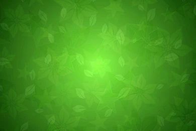 Green Wallpapers_hd Wallpaper_download Free Wallpapers