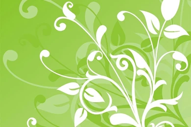 Green Wallpapers_hd Wallpaper_download Free Wallpapers