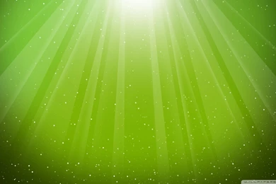 Lime Green HD Wallpapers