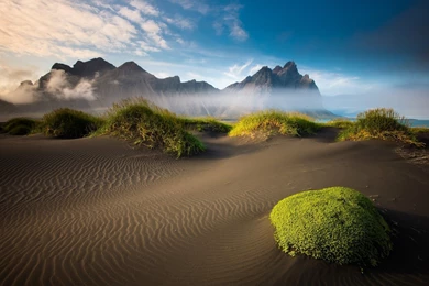 Daily Wallpaper: Icelandic Beach