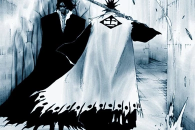 Bleach Wallpapers HD   Anime Wallpapers (34477605)   Fanpop