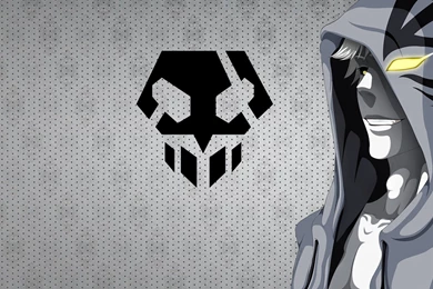 Bleach HD Wallpapers