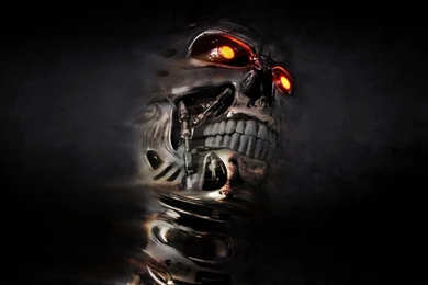 The Terminator Wallpapers   Movie Wallpapers