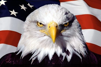 American Flag Wallpapers Wide