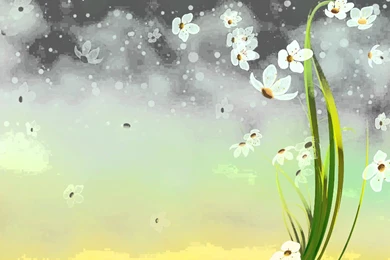 Video Backgrounds HD Flower HD Style Proshow Styleproshow.org ...