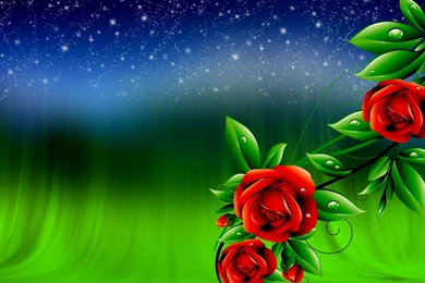 Roses Backgrounds HD Wallpapers Download Of Red Roses
