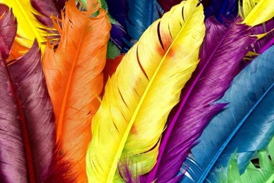 Laptop Backgrounds Pictures