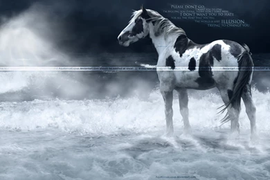 Illusion: Wallpapers By AquiloniusLupus On DeviantArt