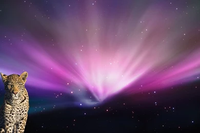 Visage: Login Screen Backgrounds