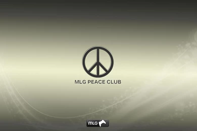 Popa Chubby Peace Love & Respect Wallpapers   8721