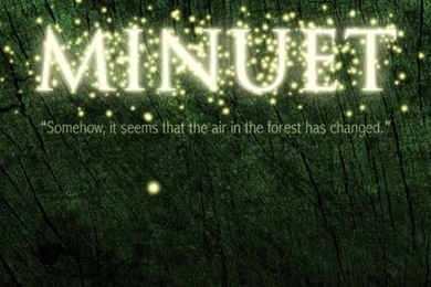 Zelda Minuet iPhone 5 Wallpapers