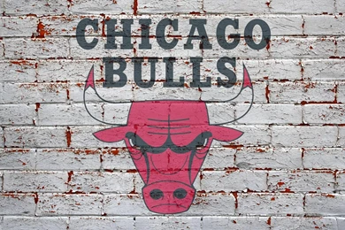 Chicago Bulls Download Free Wallpapers 15063 Wallpapers Risewall ...