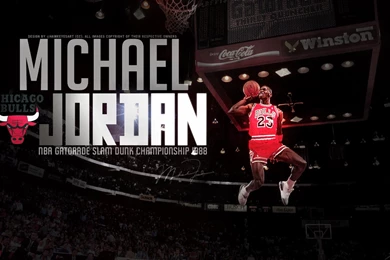 Free Wallpapers By Valdazzar: Chicago Bulls Wallpapers 2013