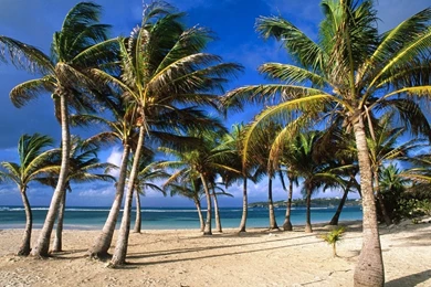 1280x960 La Caravelle Beach Desktop PC And Mac Wallpapers