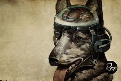 Full HD 1080p Fallout Wallpapers HD, Desktop Backgrounds 1920x1080