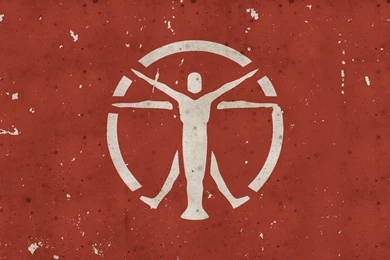 Made More Fallout Wallpapers; 2560x1440.   Album On Imgur