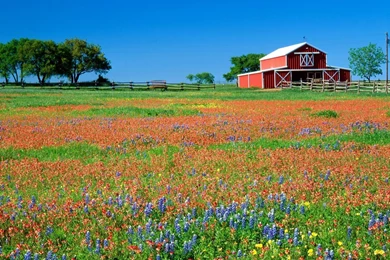 Texas Desktop Wallpapers   HD Wallpaper Backgrounds Of Your Choice