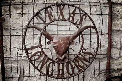 Texas Longhorns Desktop 1920x1080.jpg