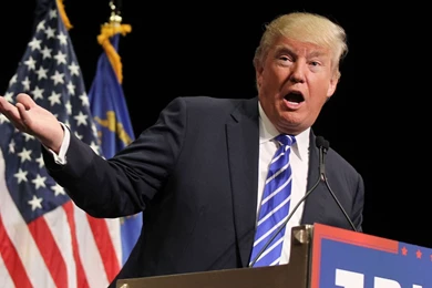 Donald Trump's Hollywood Walk Of Fame Star Vandalized With Spray ...