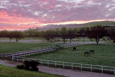 Free Texas Wallpapers
