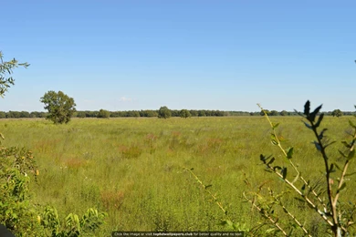 Best Texas Wallpapers For Your PC, Mac Or Mobile Device