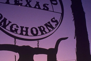 Texas Longhorns Photography Images Wallpapers Ecard ...