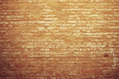 Download Wallpapers 2560x1440 Wall, Brick, Background, Light ...