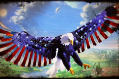 Usa Wallpaper_hd Wallpaper_download Free Wallpapers