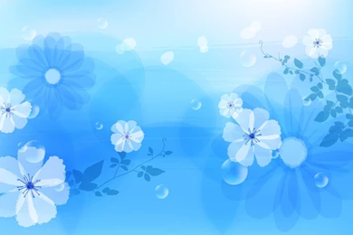 Light Blue Flowers Wallpapers (3)   Funny And Amazing Wallpapers.