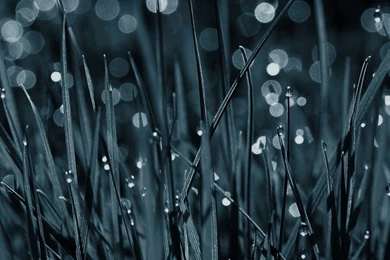 Download Wallpapers 3840x1200 Field, White, Yellow, Black and white ...