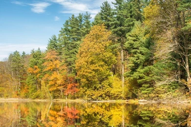 Download Wallpapers 3840x1200 Trees, Autumn, Summer, River Dual ...