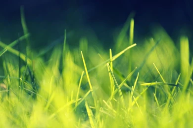 InterfaceLIFT: 3840x1200 Wallpapers Sorted By Downloads